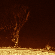 <font class="tempImageTitleThumbText">GIANT PROMINENCE</font><br>ALESSANDRO<br>May 5 12:42pm<br>DOLIANOVA - ITALY