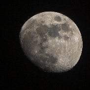 <font class="tempImageTitleThumbText">Moon Occult Regulus</font><br>Adam Hurcewicz<br>Mar 29 8:26pm<br>Bialystok, Poland