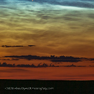 <font class="tempImageTitleThumbText">Comet And NLCs From Alberta</font><br>Alan Dyer<br>Jul 7 7:13pm<br>near Gleichen, Alberta