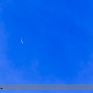 <font class="tempImageTitleThumbText">Venus Occultation From Arizona</font><br>Alan Dyer<br>Dec 7 5:34pm<br>Portal, Arizona