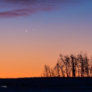 <font class="tempImageTitleThumbText">Venus & Jupiter In Close Conjunction</font><br>Alan Dyer<br>Nov 13 3:16pm<br>near Gleichen, Alberta