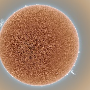 <font class="tempImageTitleThumbText">Sun Portrait With Large Prominences</font><br>Alan Friedman<br>Apr 4 3:56am<br>Buffalo, NY