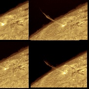 <font class="tempImageTitleThumbText">Sun Prominence</font><br>Alessandro Bianconi<br>Sep 10 12:43pm<br>Dolianova (CA) Italy