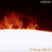 <font class="tempImageTitleThumbText">Solar Prominences (H-alpha)</font><br>Alexander Golitschek<br>Mar 8 9:48pm<br>Darmstadt, Germany