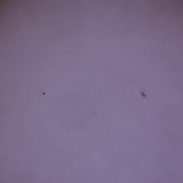 <font class="tempImageTitleThumbText">Mercury Transit</font><br>Andreas Walker<br>May 9 7:27pm<br>Marbella, Spain, Europe