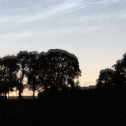 <font class="tempImageTitleThumbText">Comet & Noctilucent Clouds</font><br>Andrew Helme<br>Jul 11 11:58am<br>Northumberland UK