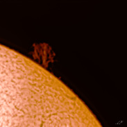 <font class="tempImageTitleThumbText">Solar Prominence 10.7cm Flux</font><br>Anthony Fuller<br>Feb 26 1:42am<br>Roswell, Georgia 