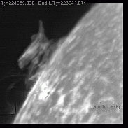 <font class="tempImageTitleThumbText">Violent Violet Prominence</font><br>Apollo Lasky<br>Jun 9 11:26pm<br>Naperville, il