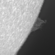 <font class="tempImageTitleThumbText">West Prom</font><br>Apollo Lasky<br>Sep 9 11:54pm<br>Naperville, il