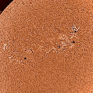 <font class="tempImageTitleThumbText">Sunspots, Active Regions And Prominences</font><br>Arnold Rivera<br>Apr 23 12:52am<br>Edmonton, Alberta, Canada