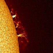 <font class="tempImageTitleThumbText">Hedgerow Prominence</font><br>Arthur Coombs<br>May 25 3:05am<br>Heidelberg, Australia
