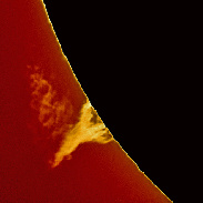 <font class="tempImageTitleThumbText">Prominence</font><br>Arthur Coombs<br>Feb 7 8:41pm<br>Heidelberg, Victoria, Australia