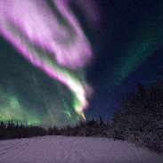 <font class="tempImageTitleThumbText">Auroras And SARs</font><br>Benjamin Traylor<br>Nov 24 7:05am<br>Tolsona, Alaska