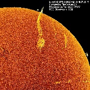 <font class="tempImageTitleThumbText">Filaprom</font><br>Bill Hrudey<br>Apr 27 5:04pm<br>Cayman Islands