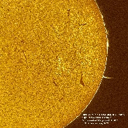 <font class="tempImageTitleThumbText">Pillar Prominence</font><br>Bill Hrudey<br>Jan 5 6:18pm<br>Cayman Islands