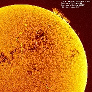 <font class="tempImageTitleThumbText">Hedgerow Prominence</font><br>Bill Hrudey<br>May 12 7:04pm<br>Hedgerow prominence plus many s