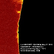 <font class="tempImageTitleThumbText">Prominences</font><br>Bill Hrudey<br>May 17 6:27pm<br>Miscellaneous solar features. L