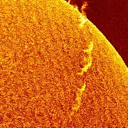 <font class="tempImageTitleThumbText">Filaprom</font><br>Bill Hrudey<br>May 22 5:39pm<br>Cayman Islands