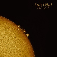 <font class="tempImageTitleThumbText">Prominence In Ha</font><br>Bob Runyan<br>Apr 26 3:43am<br>AstroAsylum, BYO  Shelton, NE U