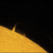 <font class="tempImageTitleThumbText">Limb Prominences</font><br>Bob Yoesle<br>Jun 1 1:57pm<br>Goldendale, Washington, USA