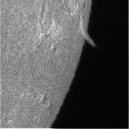 <font class="tempImageTitleThumbText">Surge Prominence.</font><br>Bob Yoesle<br>May 28 12:11am<br>Placerville, California, USA
