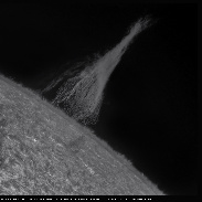 <font class="tempImageTitleThumbText">Quiescent Prominence ( 150 000 Kms)</font><br>Brahic jean-Pierre<br>Aug 30 8:11am<br>Uzès ( south France ) 