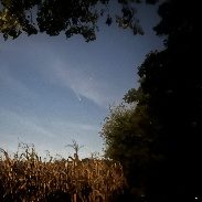 <font class="tempImageTitleThumbText">Comet Tsuchinshan-atlas</font><br>Brian C<br>Oct 17 12:55am<br>Sugar Grove, Ill