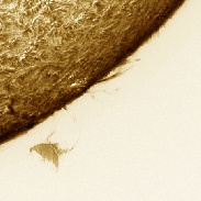 <font class="tempImageTitleThumbText">Disconnecting Prominence</font><br>Brian Kimball<br>May 29 12:16pm<br>Longmont, CO
USA