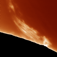 <font class="tempImageTitleThumbText">Prominence</font><br>brian jobson<br>Sep 1 2:01pm<br>Milngavie, Glasgow, Scotland