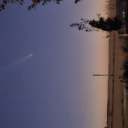 <font class="tempImageTitleThumbText">Comet Tsuchinshan-Atlas</font><br>Carol Meyer<br>Oct 16 12:47am<br>Rural Toledo IA