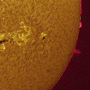 <font class="tempImageTitleThumbText">Huge Prominences On The Limb</font><br>Chris Schur<br>Dec 7 9:18pm<br>Payson, Az