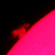 <font class="tempImageTitleThumbText">Prominence On Sun</font><br>Chuck Hunt<br>Aug 1 5:39pm<br>Brook Park, Ohio