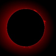 <font class="tempImageTitleThumbText">Prominences On Sun</font><br>Chuck Hunt<br>May 14 7:36pm<br>Brook Park
