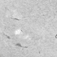 <font class="tempImageTitleThumbText">Huge New Prom On SE Limb</font><br>D.r. J. Wayne Wooten<br>Dec 9 9:33pm<br>Pensacola, Florida, USA