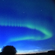 <font class="tempImageTitleThumbText">NLC & Auroras</font><br>Dan Onischuk - World Park Foto<br>Jun 15 7:50am<br>Fawcett, Alberta