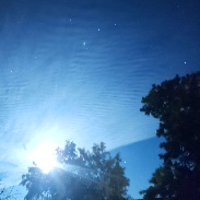 <font class="tempImageTitleThumbText">Possible NLC Or ???</font><br>Daniel Earl<br>Jun 19 7:53am<br>Grass Valley, Oregon