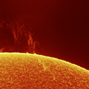 <font class="tempImageTitleThumbText">Sun H-alpha - Big Prominence </font><br>Dariusz Wiosna<br>May 10 11:09am<br>Skierniewice, Poland
