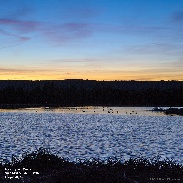 <font class="tempImageTitleThumbText">Venus And Mercury</font><br>David Blanchard<br>Mar 19 7:33pm<br>Flagstaff, AZ