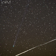 <font class="tempImageTitleThumbText">Comet And Starlink</font><br>David Blanchard<br>Apr 15 5:42pm<br>Mormon Lake, Arizona.
