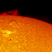 <font class="tempImageTitleThumbText">Sunspots And Prominences</font><br>David Leong<br>Jan 11 1:19pm<br>Hong Kong