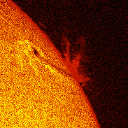 <font class="tempImageTitleThumbText">Sunspots And Prominences</font><br>David Leong<br>Feb 4 2:05pm<br>Hong Kong