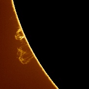 <font class="tempImageTitleThumbText">Post-flare Loop Prominences</font><br>David Maidment<br>Oct 15 11:52am<br>Perth, Western Australia