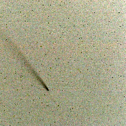 <font class="tempImageTitleThumbText">Comet C/2023 A3 Tsuchinshan-ATLAS</font><br>David McCashion<br>Oct 21 1:13pm<br>Prince of Wales, NB, Canada