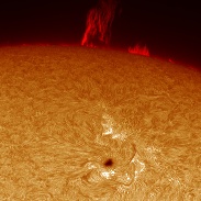 <font class="tempImageTitleThumbText">Solar Prominence And Foreground Sunspot</font><br>David Strange<br>Oct 10 2:22pm<br>Norman Lockyer Observatory, Sid