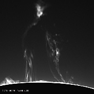 <font class="tempImageTitleThumbText">Huge Solar Prominence</font><br>David Strange<br>Apr 14 8:37pm<br>Followed this eruption for 30 m