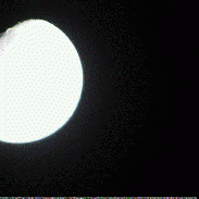 <font class="tempImageTitleThumbText">Occultation Of Star Aldebaran By The Moon</font><br>David Thomas<br>Jan 21 4:37pm<br>Lynchburg, Virginia