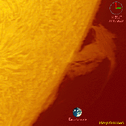 <font class="tempImageTitleThumbText">AR3315 & Prom</font><br>David Wilson<br>Jun 1 12:53pm<br>Inverness, Scotland