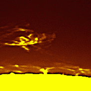 <font class="tempImageTitleThumbText">Prominence</font><br>David Wilson<br>Oct 4 11:46am<br>Inverness, Scotland
