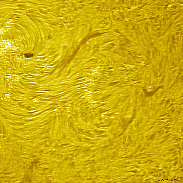 <font class="tempImageTitleThumbText">AR4405</font><br>David Wilson<br>Apr 2 2:40pm<br>Inverness, Scotland