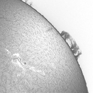 <font class="tempImageTitleThumbText">AR4324 With Prominence</font><br>David Wilson<br>Jan 5 10:11am<br>Inverness, Scotland